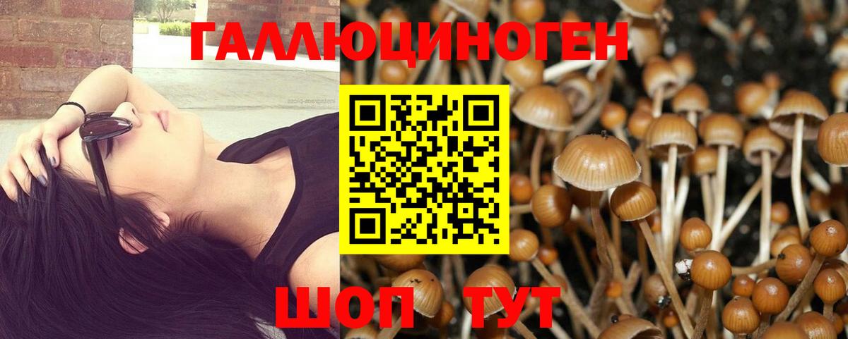 Галлюциногенные грибы Psilocybe  Вход с VPN  Чистополь 