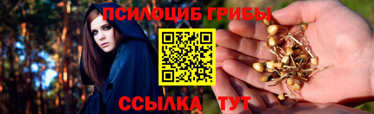Галлюциногенные грибы мухоморы Чистополь