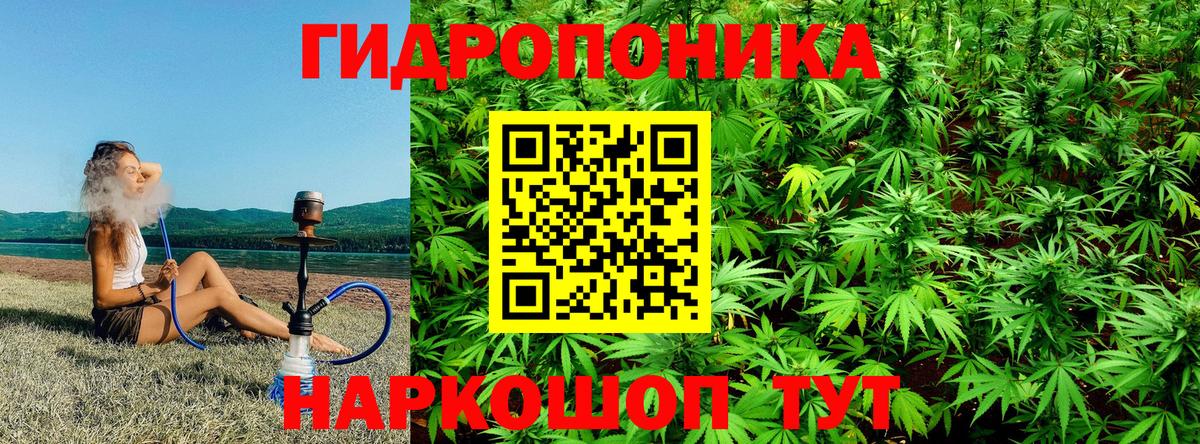 Бошки Шишки тримм Чистополь